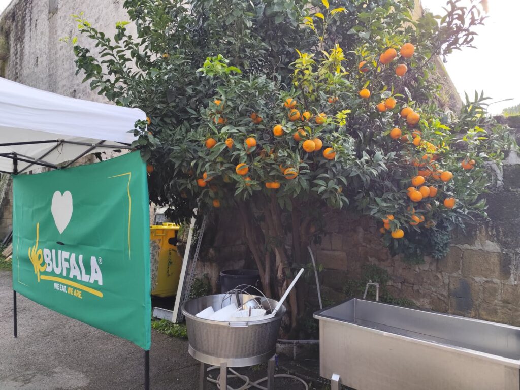 mozzarella show we bufala